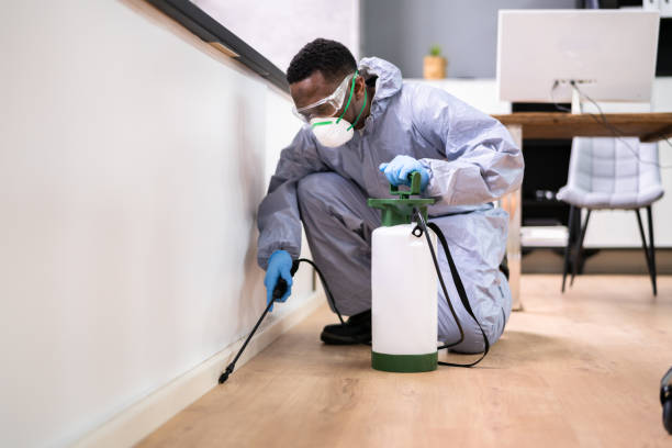 Best Fumigation Services  in Farley, IA